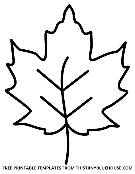 leaf outline images|free printable leaf outline template.